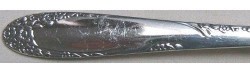 Celebrity aka Wild Rose 1939 - Personal Butter Knife Flat Handle Paddle Blade