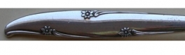 Forest Flowers aka Silver Flowers 1960 - Personal Butter Knife Flat Handle Paddle Blade