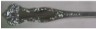 Oxford 1901 - Dessert or Oval Soup Spoon