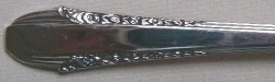 Enchantress 1937 - Dinner Knife Hollow Handle Modern Stainless Blade