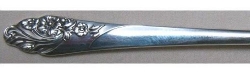 Evening Star 1950 - Personal Butter Knife Flat Handle Paddle Blade
