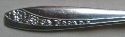 Southern Splendor aka Royal Pageant 1962 - Dinner Knife Hollow Handle Modern Stainless Blade