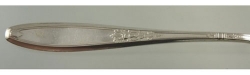 Ambassador 1919 - Dinner Knife Solid Handle Bolster Blunt Plated Blade Large