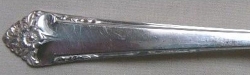 Starlight 1950 - Dinner Knife Hollow Handle Bolster Modern Stainless Blade