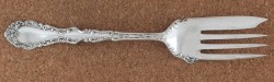 Spring Garden 1949 - Sugar Spoon Shell